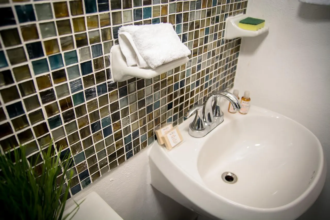 公寓 Vacation Rental - Upper Floor Room At Casa Cocoa 科苏梅尔 墨西哥